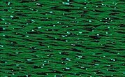 Rainbow Gallery Silk Lame Braid SL95 Medium Christmas Green