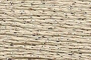 Rainbow Gallery Silk Lame Braid - SL100 Sand