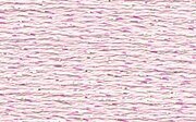Rainbow Gallery Silk Lame Braid - SL108 Soft Pink