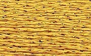 Rainbow Gallery Silk Lame Braid - SL111 Chardonnay