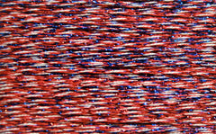 Rainbow Gallery Silk Lame Braid - SL131 4th of July