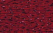 Rainbow Gallery Silk Lame Braid - SL137 Scarlet