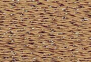 Rainbow Gallery Silk Lame Braid - SL142 Toasted Almond