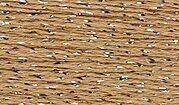 Rainbow Gallery Silk Lame Braid - SL149 Desert Sand