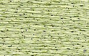 Rainbow Gallery Silk Lame Braid - SL150 Daiquiri Green