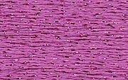 Rainbow Gallery Silk Lame Braid - SL166 Lite Fuchsia