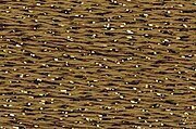 Rainbow Gallery Silk Lame Braid - SL208 Antique Bronze