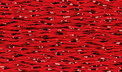 Rainbow Gallery Silk Lame Braid - SL236 True Red