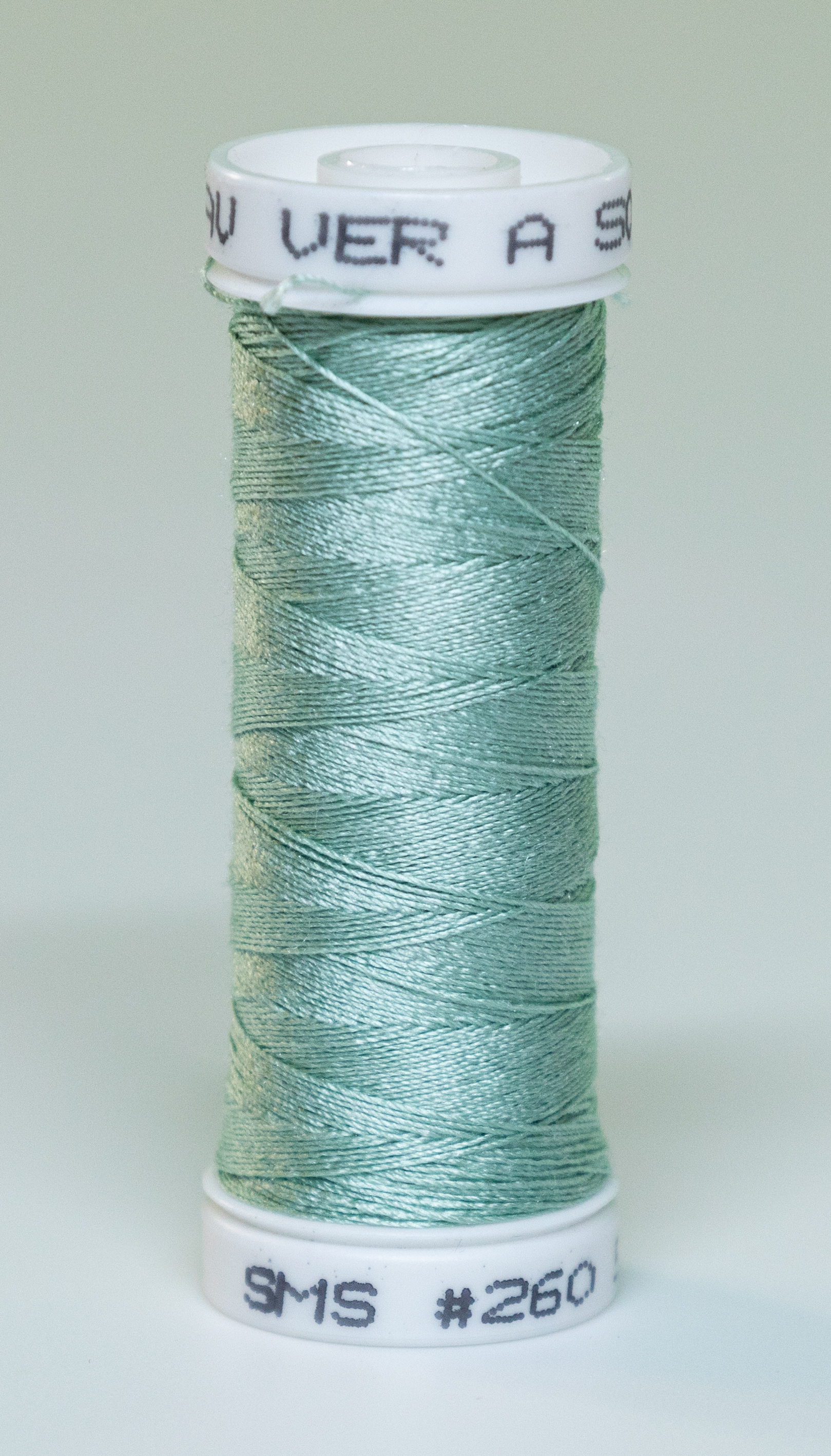 Au Ver A Soie - Silk 100/3 - 260