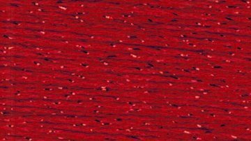 Rainbow Gallery Petite Silk Lame Braid - SP08 Red