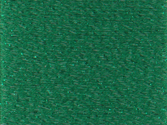 Rainbow Gallery Petite Silk Lame Braid -SP57 Christmas Green