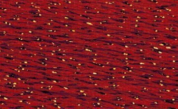Rainbow Gallery Petite Silk Lame Braid - SP200 Burnt Brick