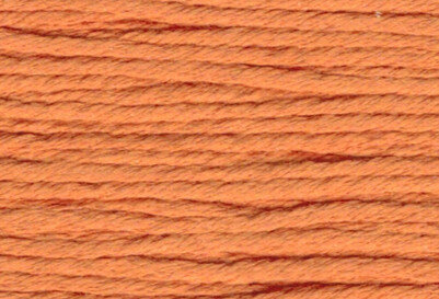 Rainbow Gallery Splendor - Pumpkin S817