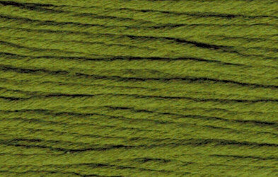 Rainbow Gallery Splendor - Olive S848