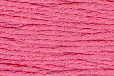 Rainbow Gallery Splendor - Medium Coral S898