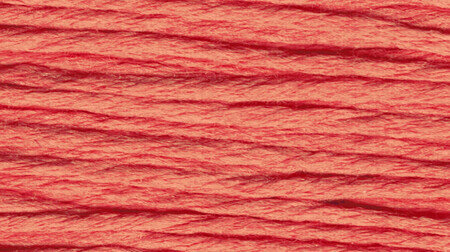Rainbow Gallery Splendor - Darkest Flesh - S1060