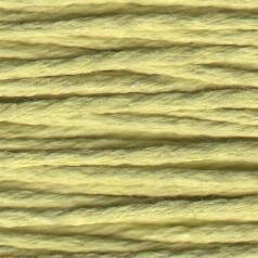 Rainbow Gallery Splendor - Very Lite Olive - S1077