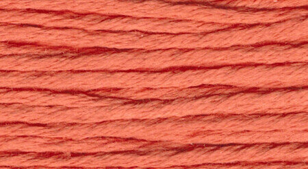 Rainbow Gallery Splendor - Medium Pumpkin - S1099