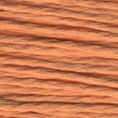 Rainbow Gallery Splendor - Apricot - S1102