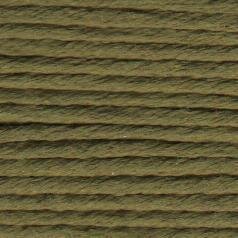 Rainbow Gallery Splendor - Ripe Olive - S1112