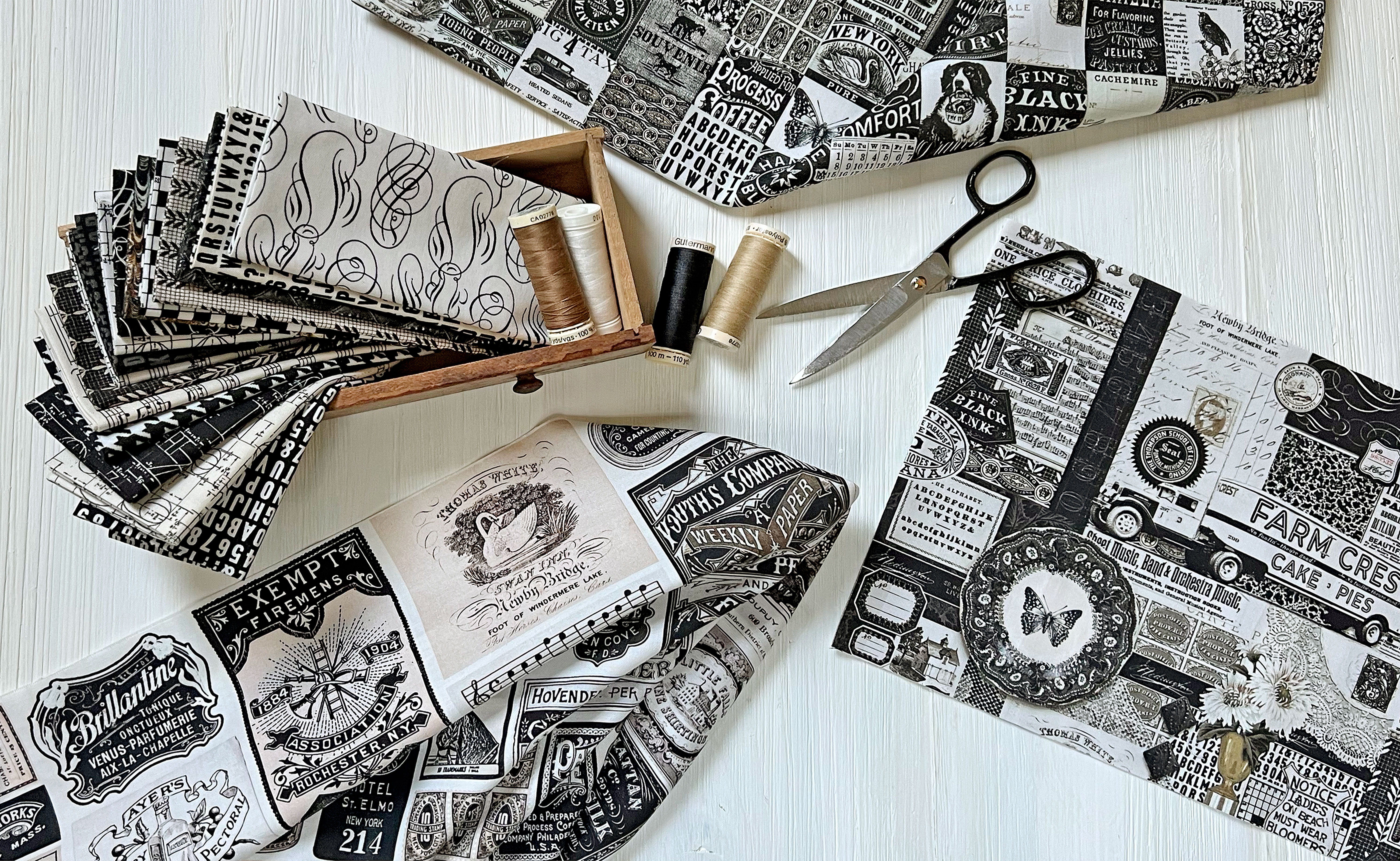 Sable & Swan Numbers - Ecru - Quilt Fabric