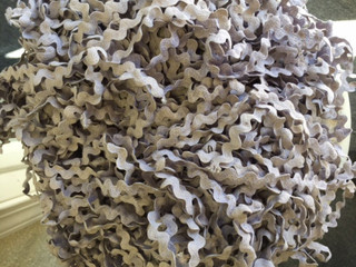 Anemone Tan 1/2 Rick Rack (3 yds)