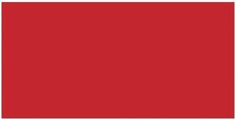 Tombow Dual Brush Marker - 856 Poppy Red