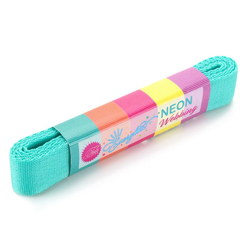 Ever Glow Webbing 1" Spirit/Teal 