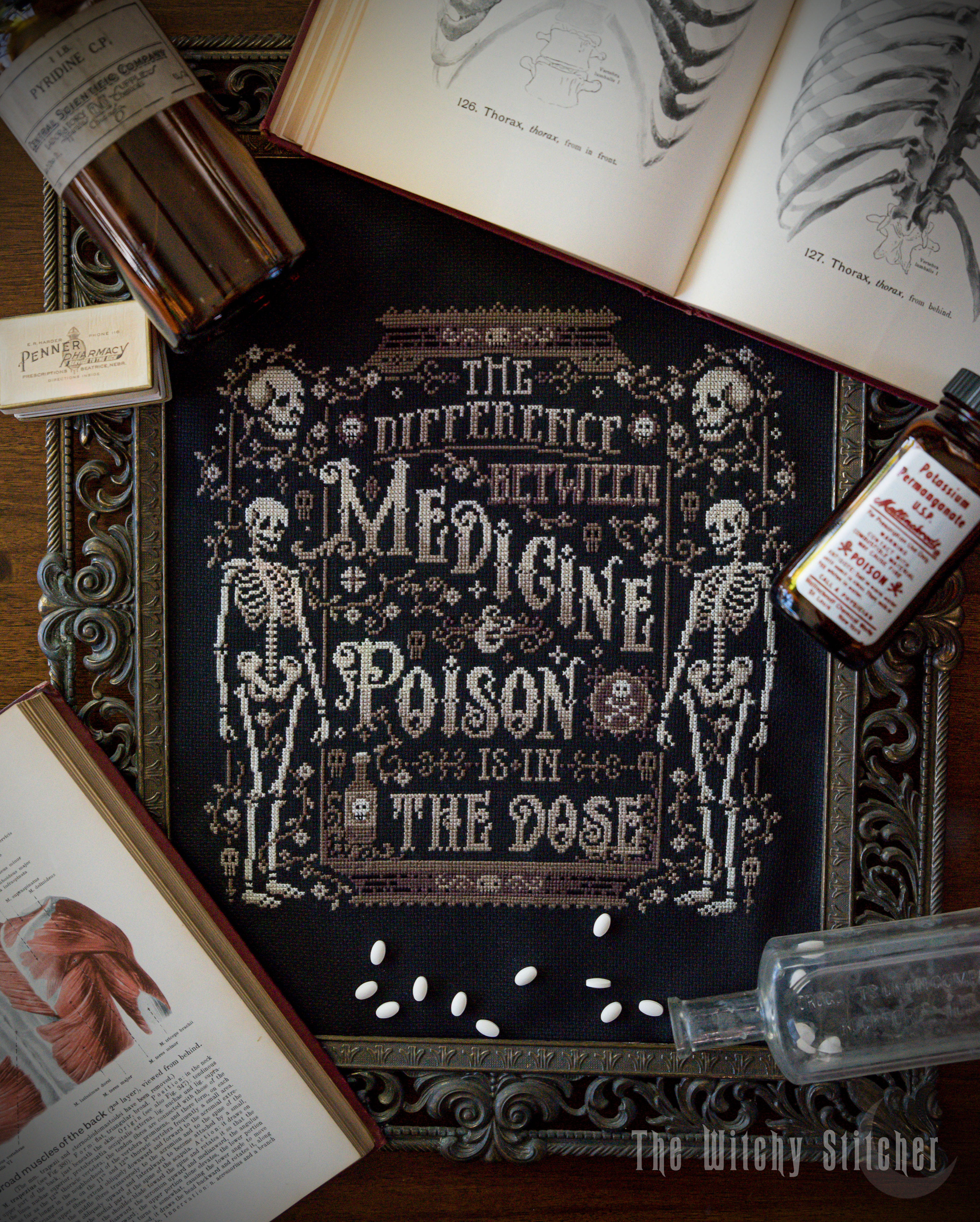 Medicine & Poison - Halloween  Cross Stitch Pattern, zoomed in. Select this picture to zoom back out.