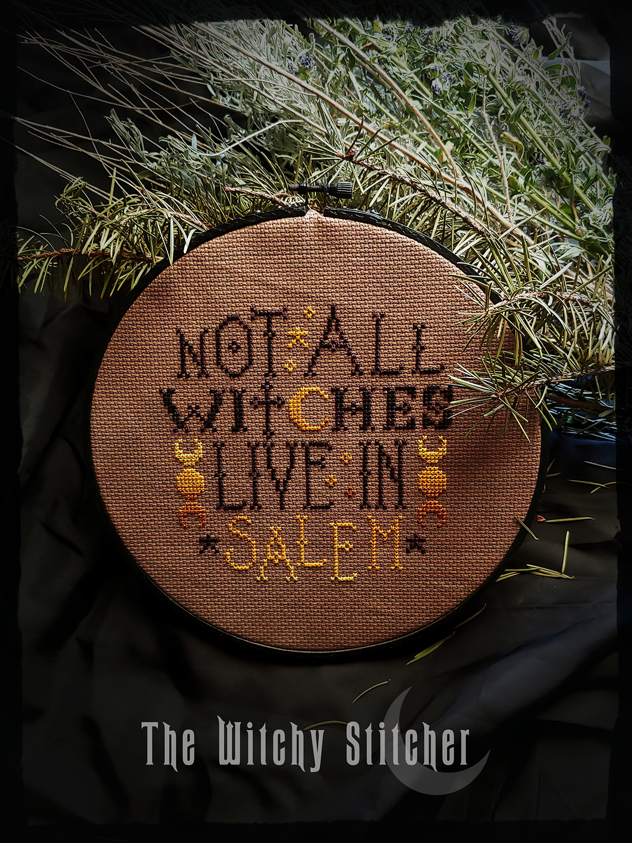 Not All Witches Live In Salem - Cross Stitch Pattern, zoomed in. Select this picture to zoom back out.