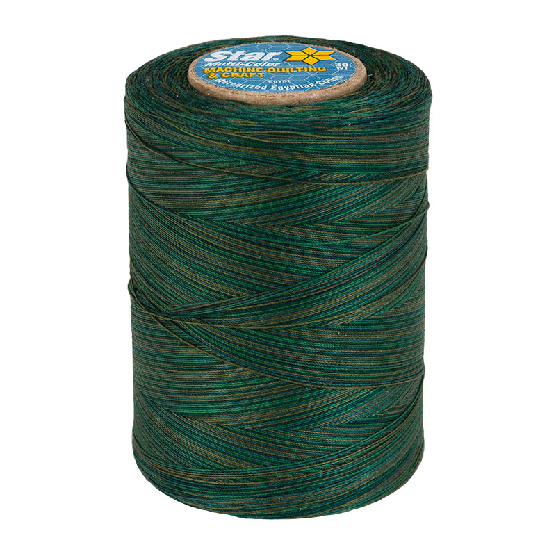 Star Variegated Thread Everglade 858
