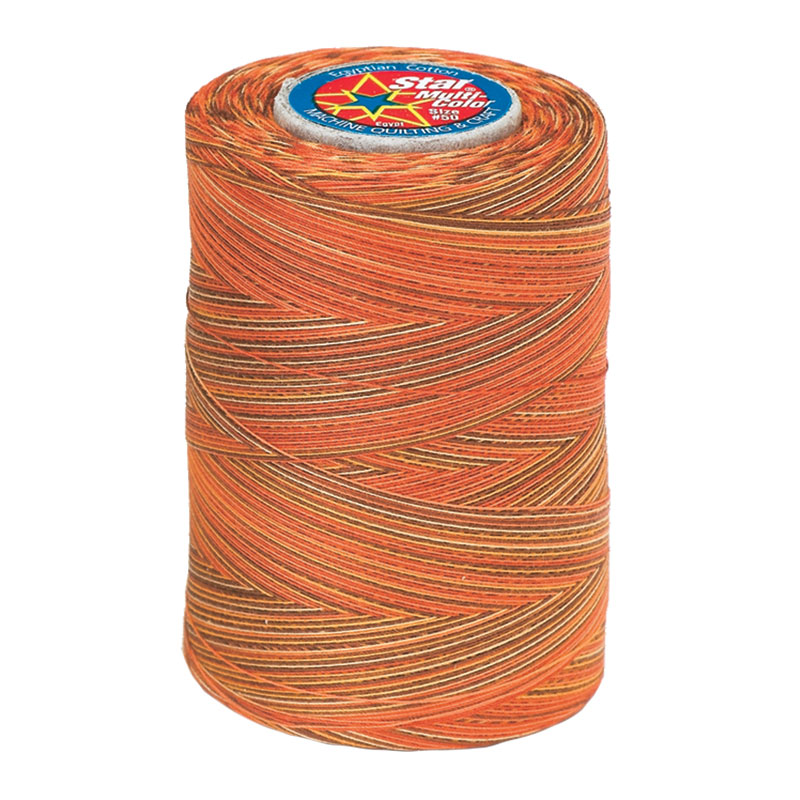 Star Variegated Thread Autumn 880