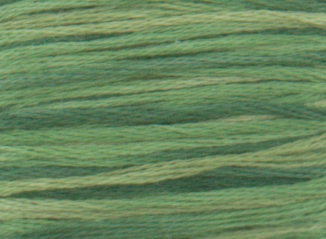 DMC Color Variations Floss - Evergreen Forest - 4045