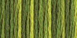 DMC Color Variations Floss - Amazon Moss - 4066