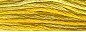 DMC Color Variations Floss - Wheat Field - 4075