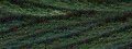 Valdani 6-Ply Thread - 539 Evergreens
