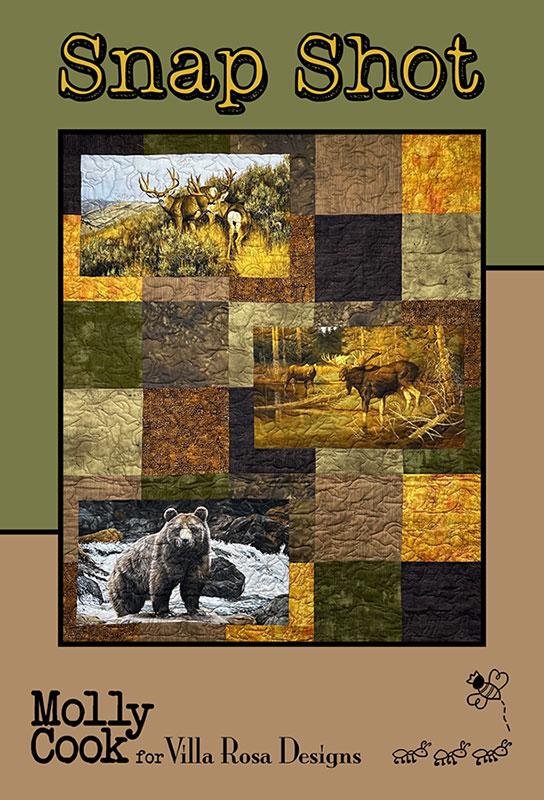 Snap Shot - Quilt Pattern, zoomed in. Select this picture to zoom back out.