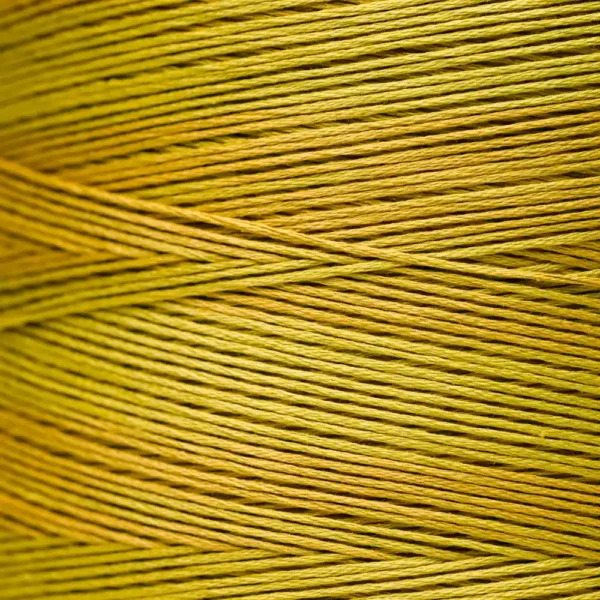 Weeks Dye Works - Lichen #2208 Yellow