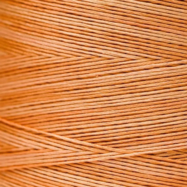 Weeks Dye Works - Daylily #2227 Orange 