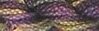 Caron Watercolours - Black Iris (294)