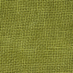 36 Count Grasshopper Linen 13x17