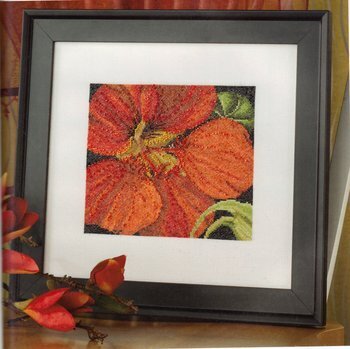 In Celebration of Forty Years - Cross Stitch Pattern