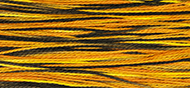 Trick or Treat - Weeks Dye Works Pearl Cotton #5