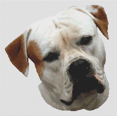 American Bulldog - Cross Stitch Pattern