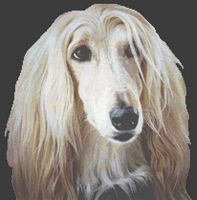 Afghan Hound - Cross Stitch Pattern
