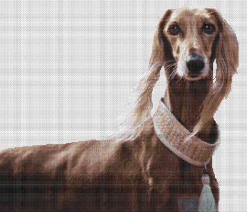 Saluki Beauty - Cross Stitch Pattern