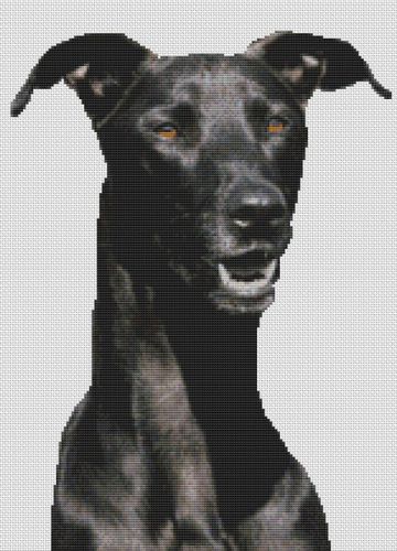Black Greyhound - Cross Stitch Pattern