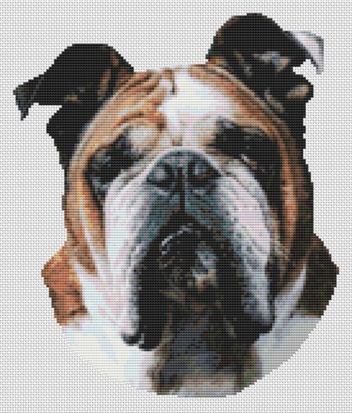 Butch - Bulldog - Cross Stitch Pattern