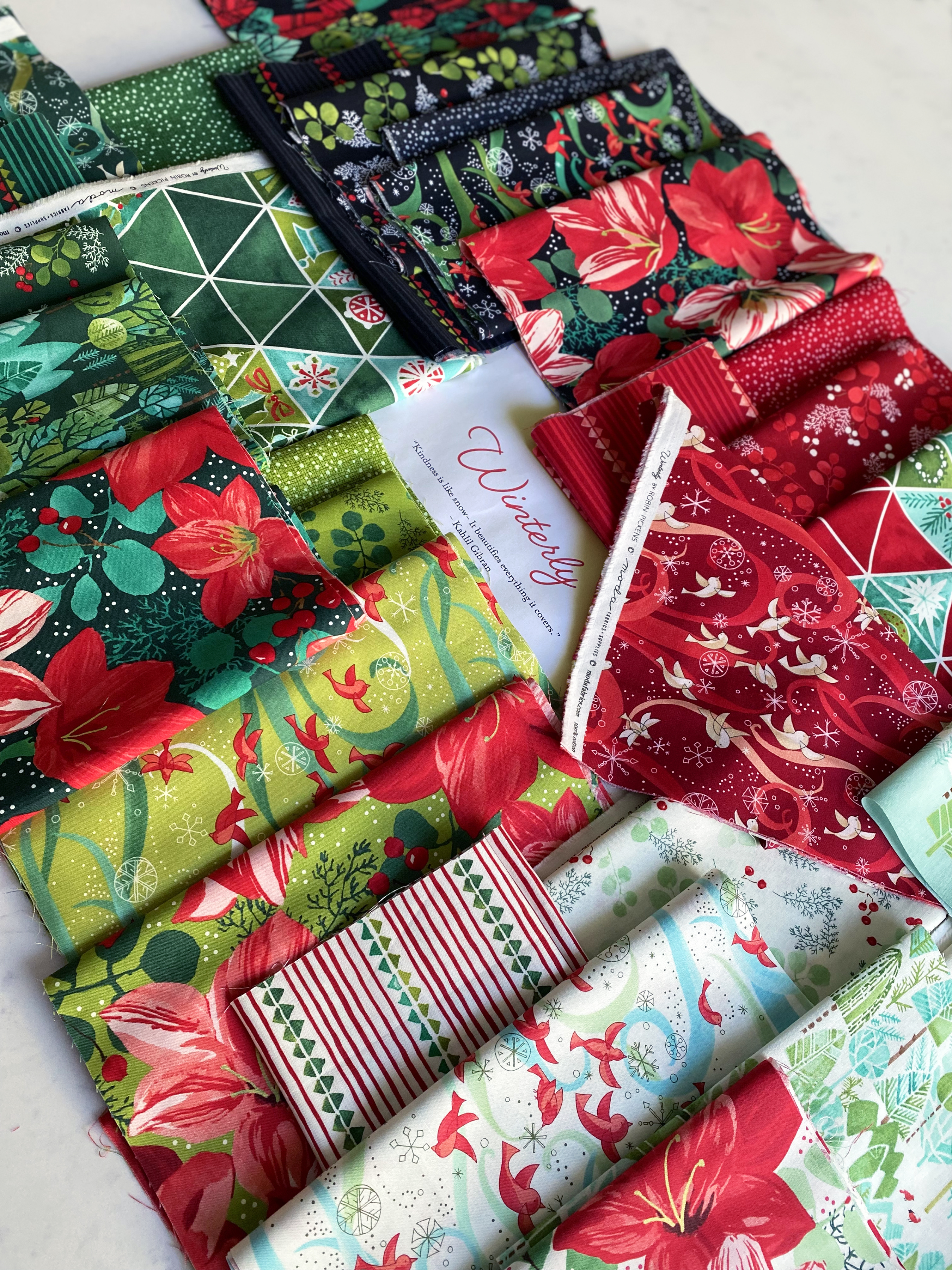 Winterly Berry - Soft Black - Quilt Fabric