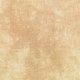 Tiny image of 14 Count Aslan Aida 17x25